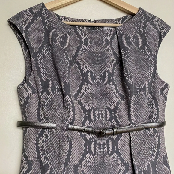 Calvin Klein, NWT, Gray, Snakeskin Print, Belted Sheath Dress, Size 12 - Picture 9 of 14